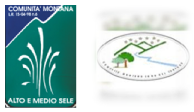 Logo dello Sportello Unico Attività Forestali